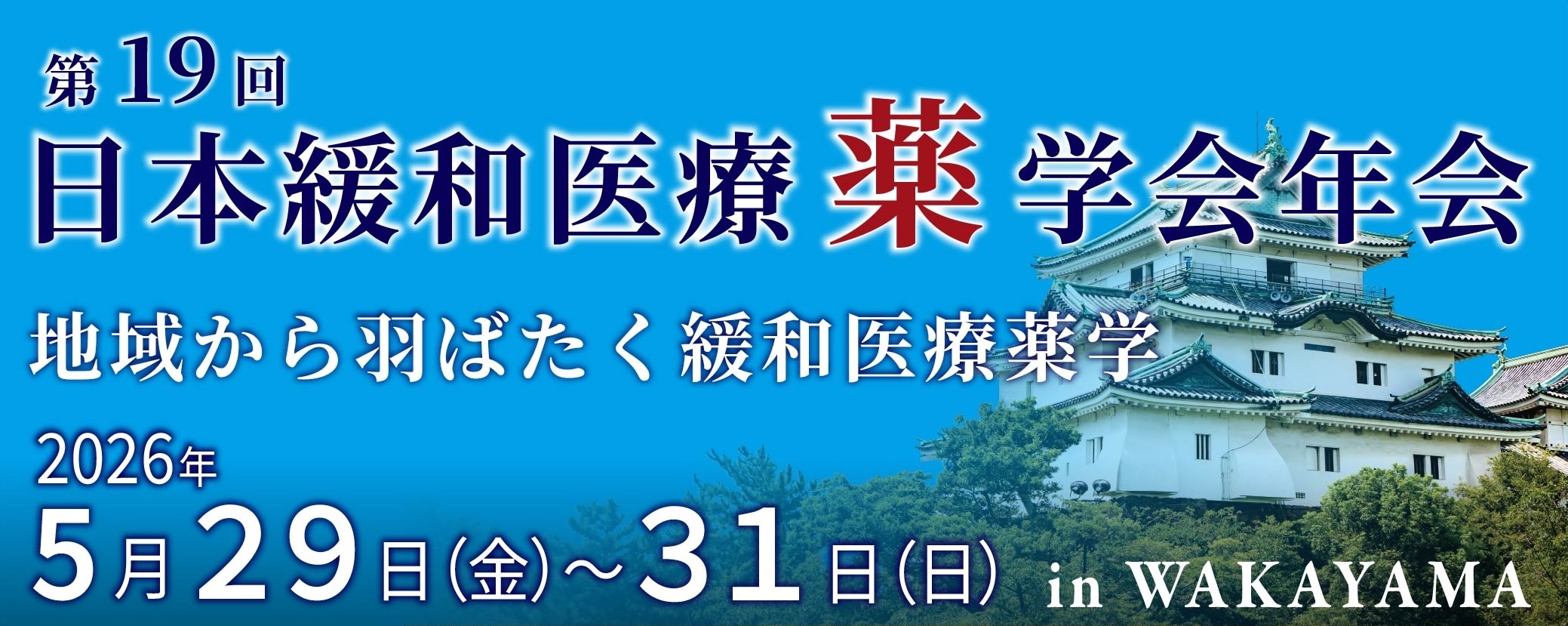 第19回日本緩和医療薬学会年会