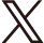 公式X