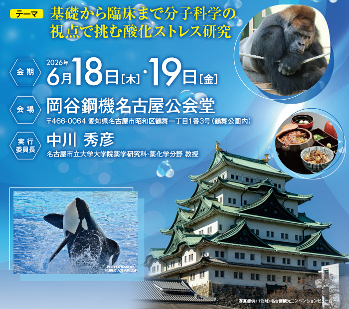 【テーマ】基礎から臨床まで分子科学の視点で挑む酸化ストレス研究　【会期】2026年6月18日（木）・19日（金）　【会場】岡谷鋼機名古屋公会堂（〒466-0064 愛知県名古屋市昭和区鶴舞一丁目1番3号（鶴舞公園内））　【実行委員長】中川 秀彦（名古屋市立大学大学院薬学研究科・薬化学分野 教授）